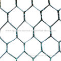 Hexagonal wire mesh, used in fencing for poultry farms and birds cages